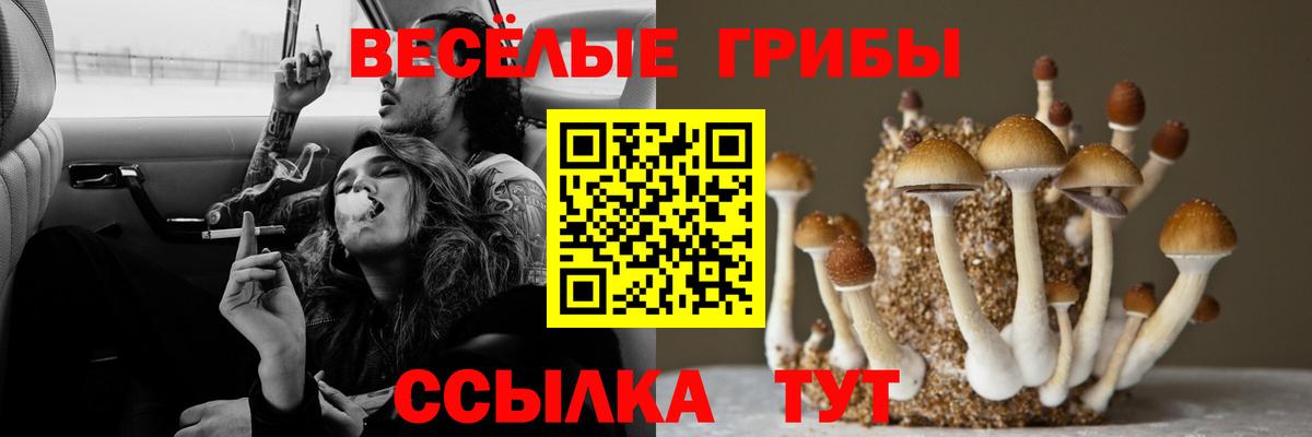 Тайшет  Псилоцибиновые грибы мухоморы  Галлюциногенные грибы Psilocybine cubensis  Вход с VPN 